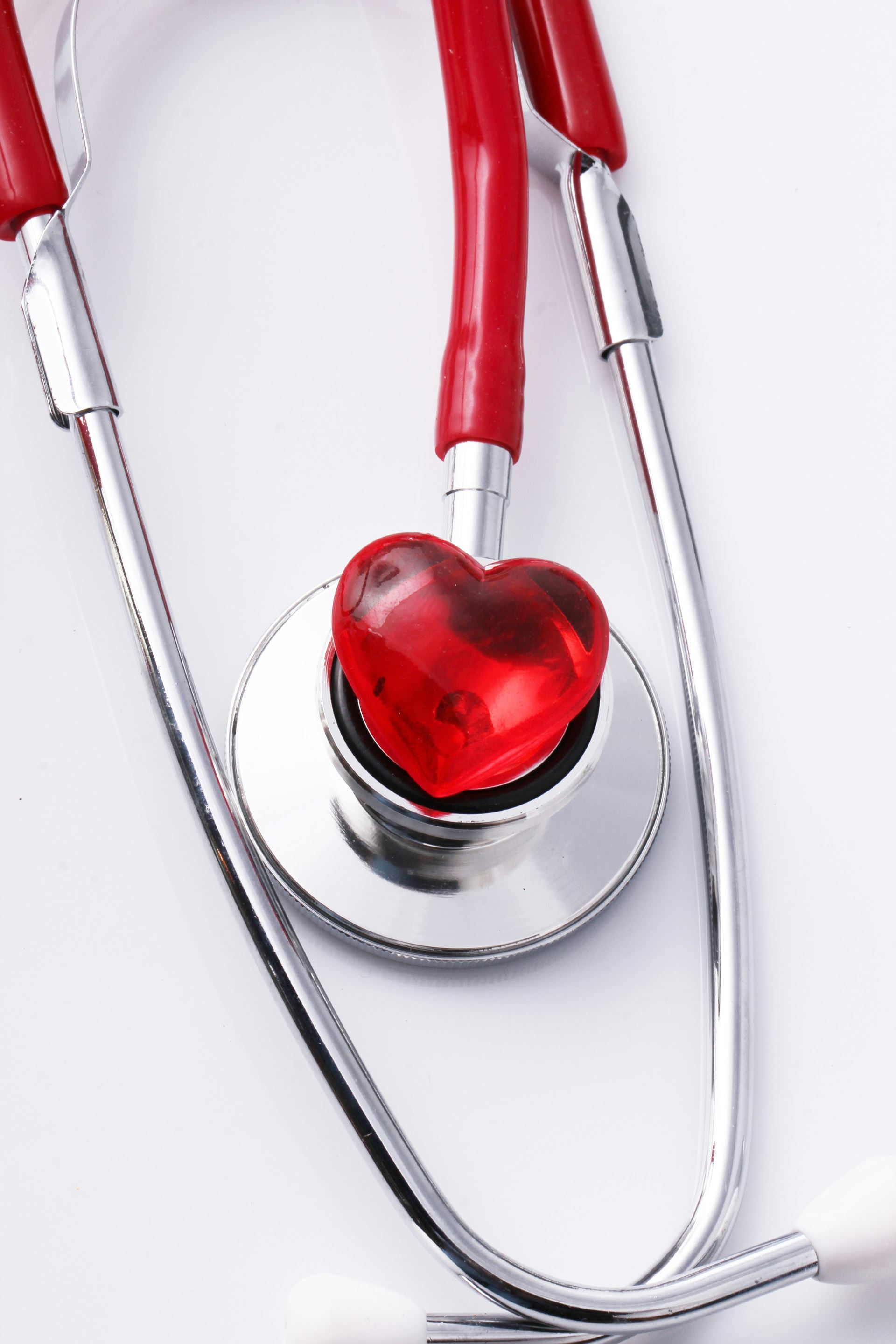 cardiovascular image